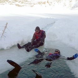 Поездки