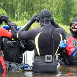 Поездки