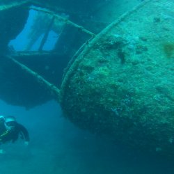 gh030446.mp4_20251024_112412.917