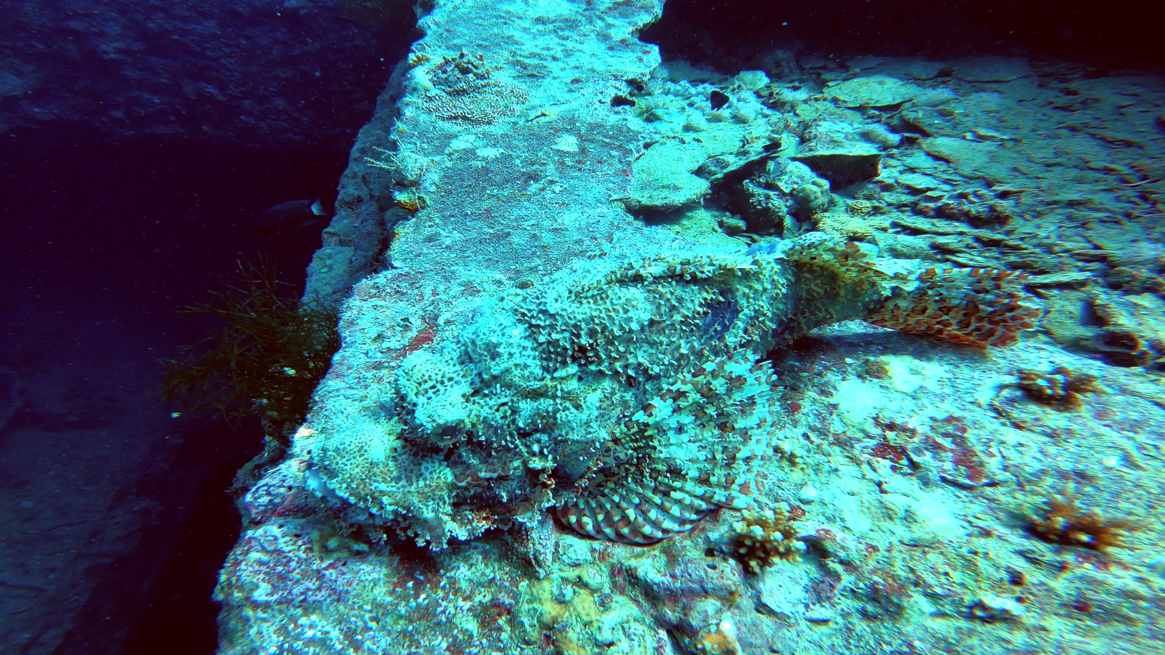 sea-01-006